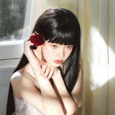 我的女官大人